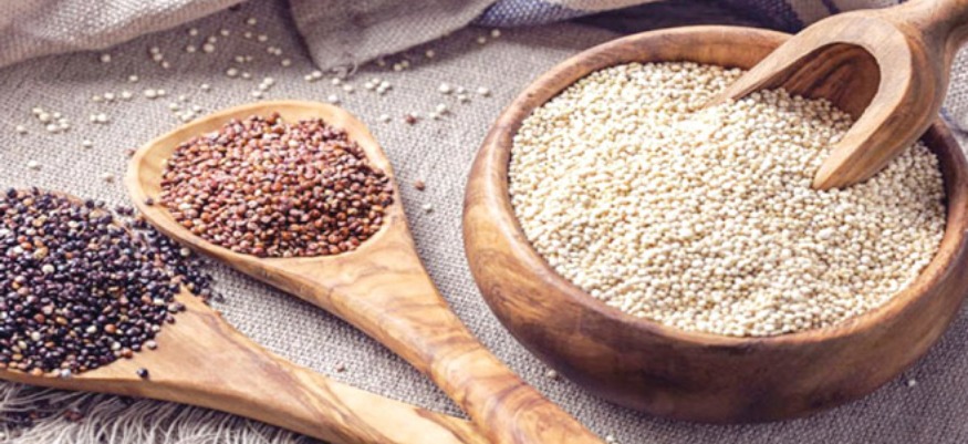 Youssoufia & Rehamna : soutien consistant aux producteurs du Quinoa 