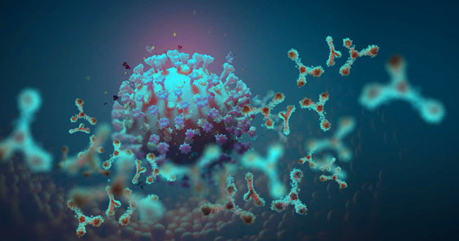 Covid-19 : La variante sud-africaine préoccupe