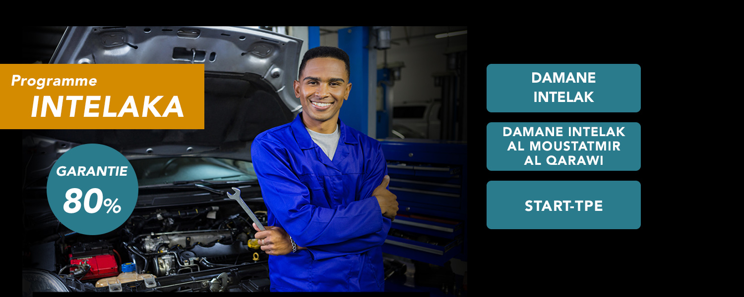 "Intelaka": 15.085 crédits garantis & 12.500 entités financées