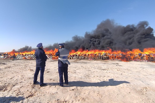 Dakhla : plus de 20 tonnes de résine de Cannabis incinérées