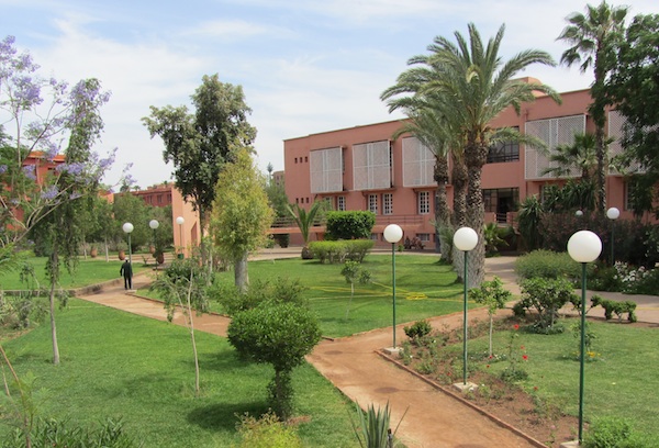 Marrakech : l'Institut français lance "Galerie à l'air libre"