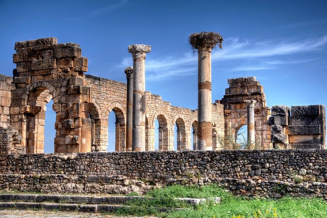 Volubilis : Les Etats-Unis accordent 1,7 million de dirhams pour la restauration des Mosaïques