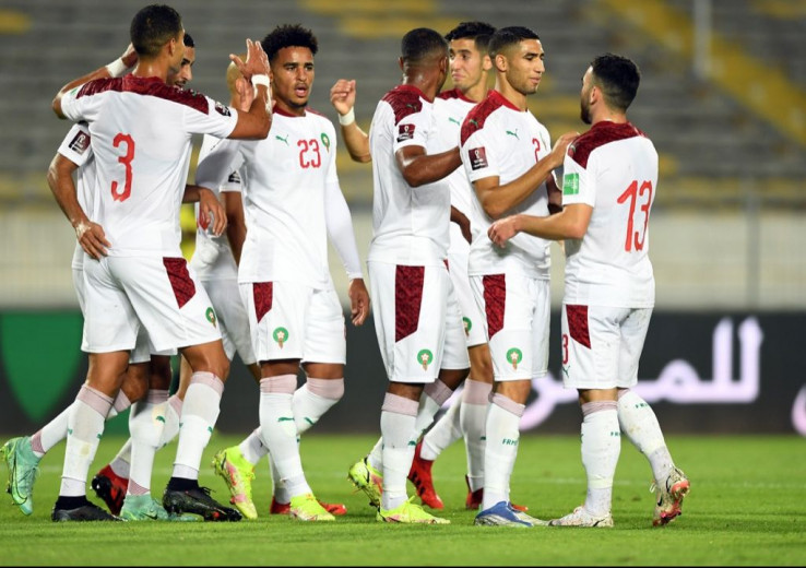 Les lions de l'Atlas.