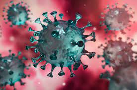 Covid-19 : on sait enfin pourquoi certaines personnes résistent naturellement au virus