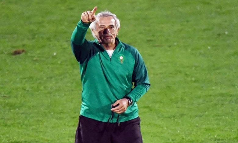 Vahid Halilhodzic, le sélectionneur national