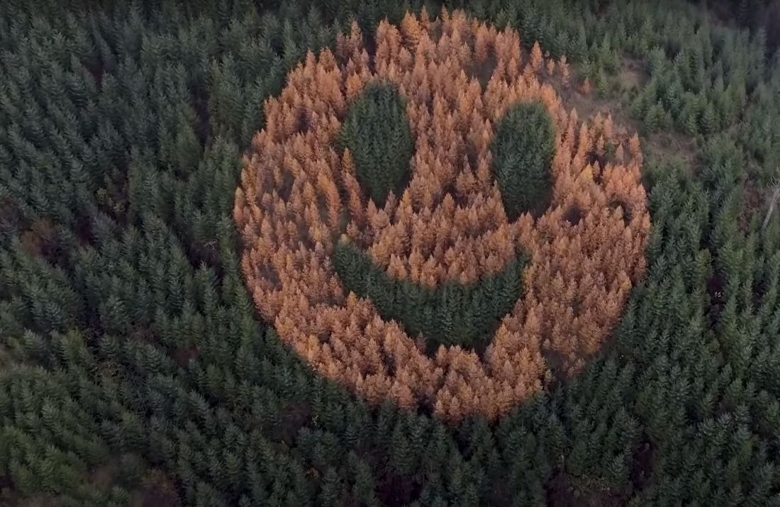 Un smiley géant apparait dans une forêt de l'Oregon