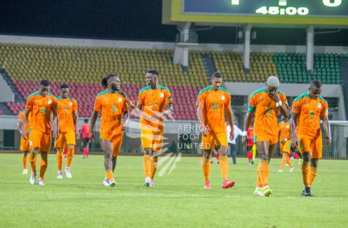 les elephants de Cote Ivoire