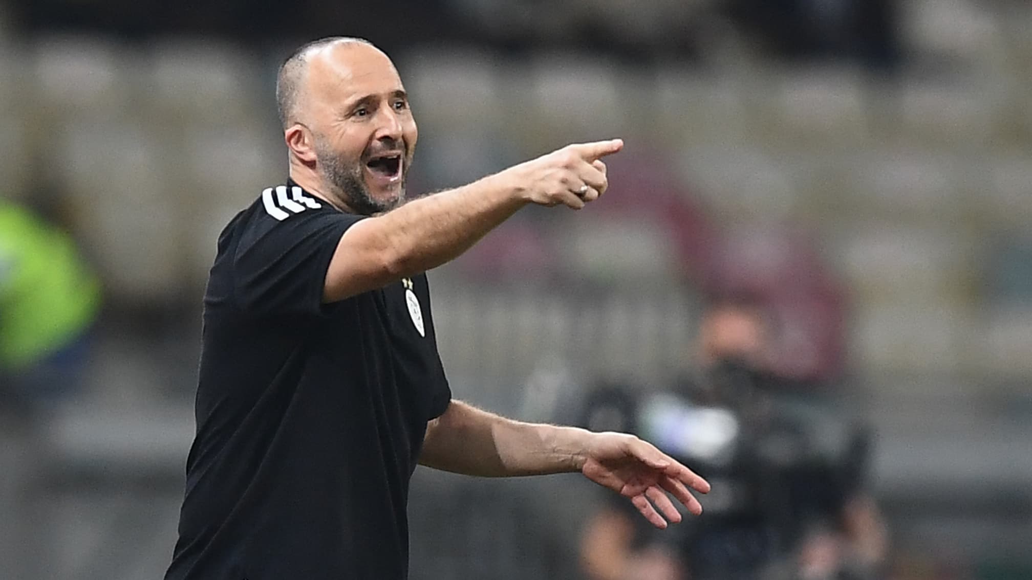 Belmadi – « pas à la hauteur tout simplement »
