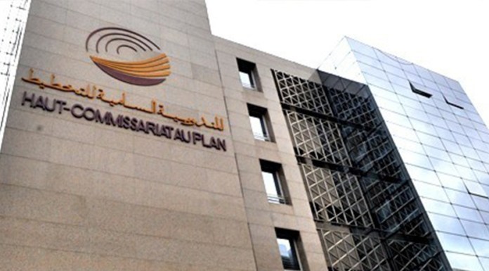 HCP : Intégration des TIC au niveau des entreprises marocaines