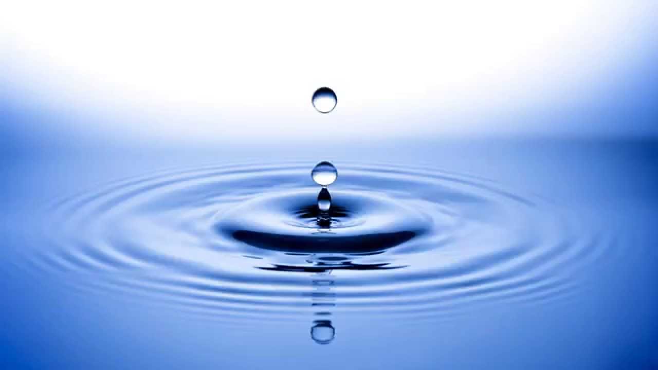 La physique empoigne le politique