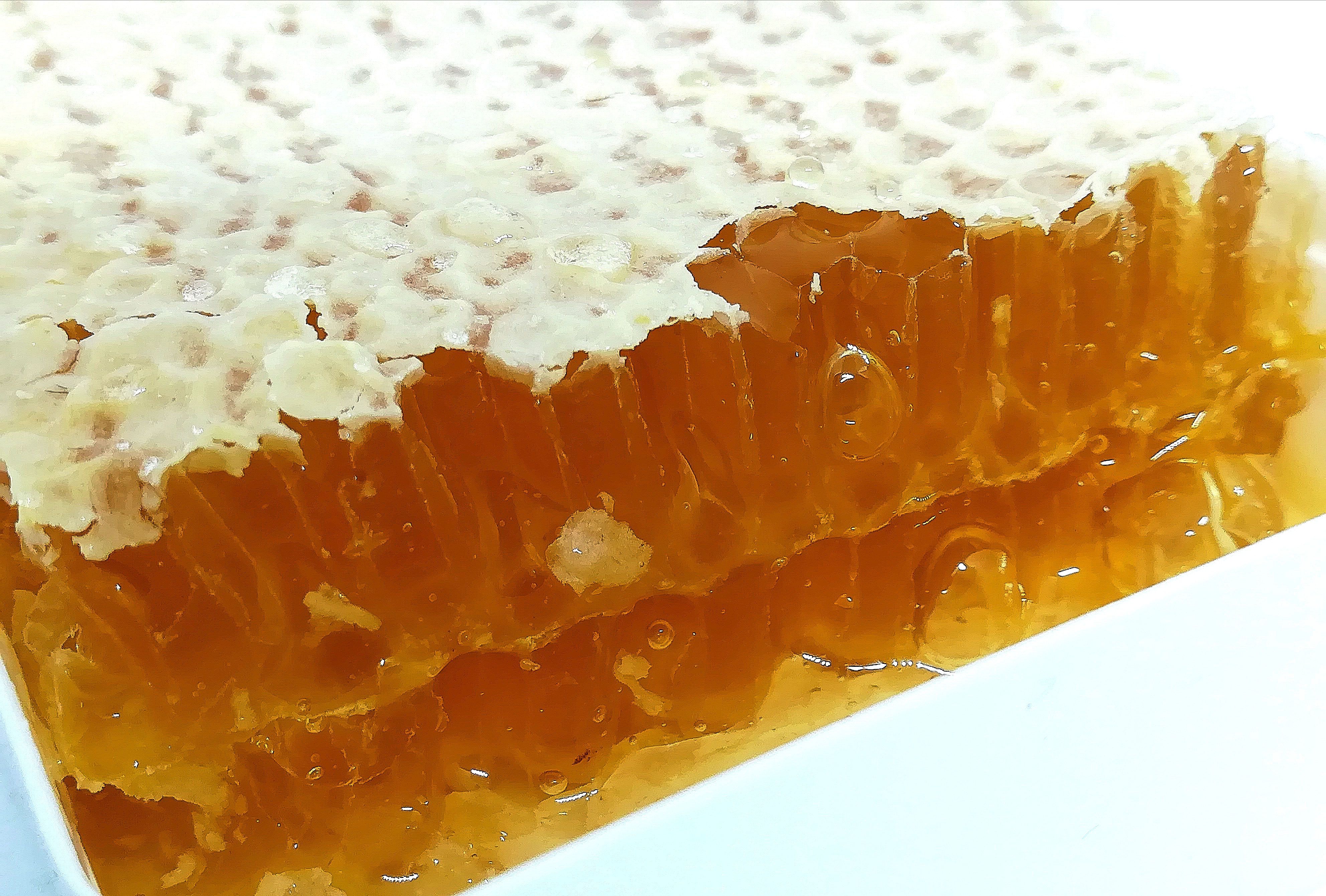 Des ruches en mal d’abeilles à Benslimane