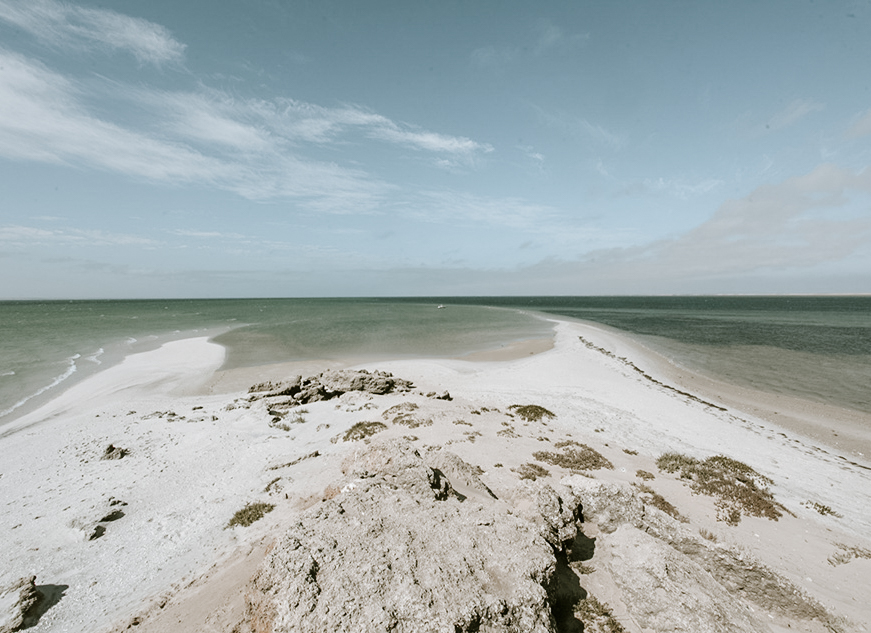 À la découverte de l'île du dragon à Dakhla