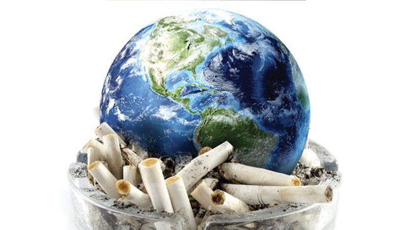 La cigarette tue l'environnement La cigarette tue l'environnement