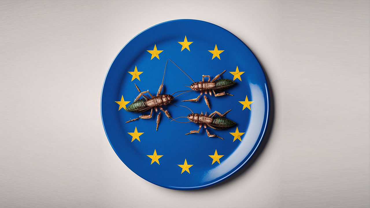 L'UE autorise officiellement de rajouter des grillons légalement dans les aliments