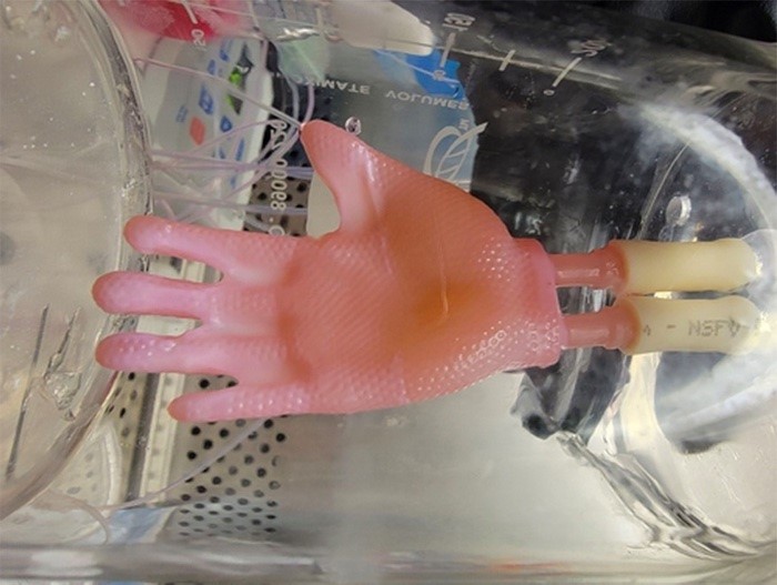 Grâce à l’impression 3D, des chercheurs créent des greffes de peau à « enfiler »