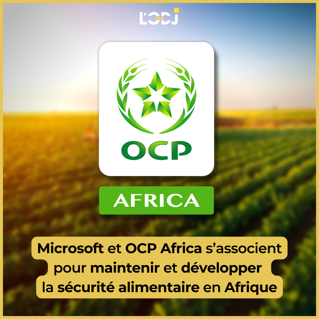 Microsoft et OCP Africa s’associent pour maintenir et développer la sécurité alimentaire en Afrique