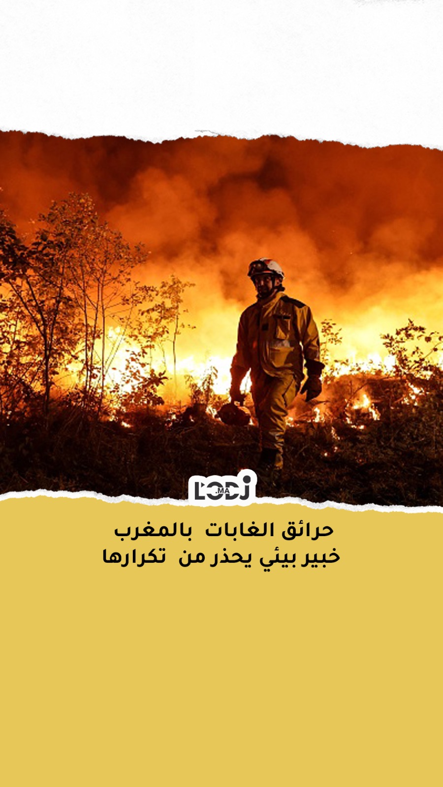حرائق الغابات بالمغرب: خبير بيئي يحذر من  تكرارها