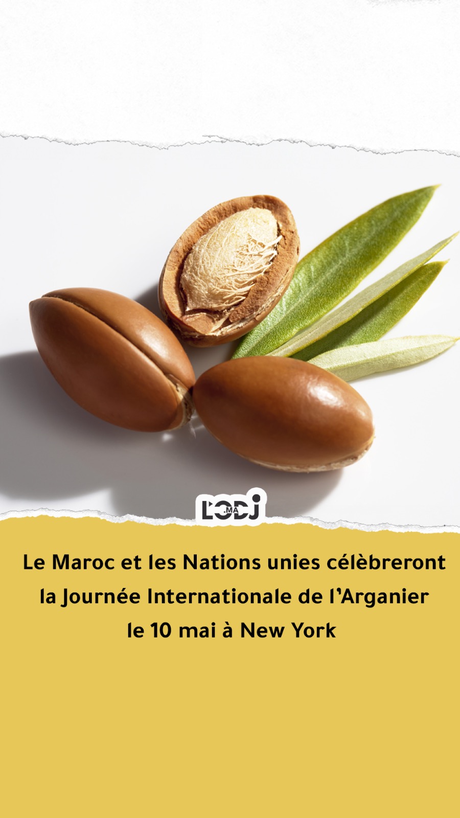 Le Maroc et les Nations unies célèbreront la Journée Internationale de l’Arganier le 10 mai à New York