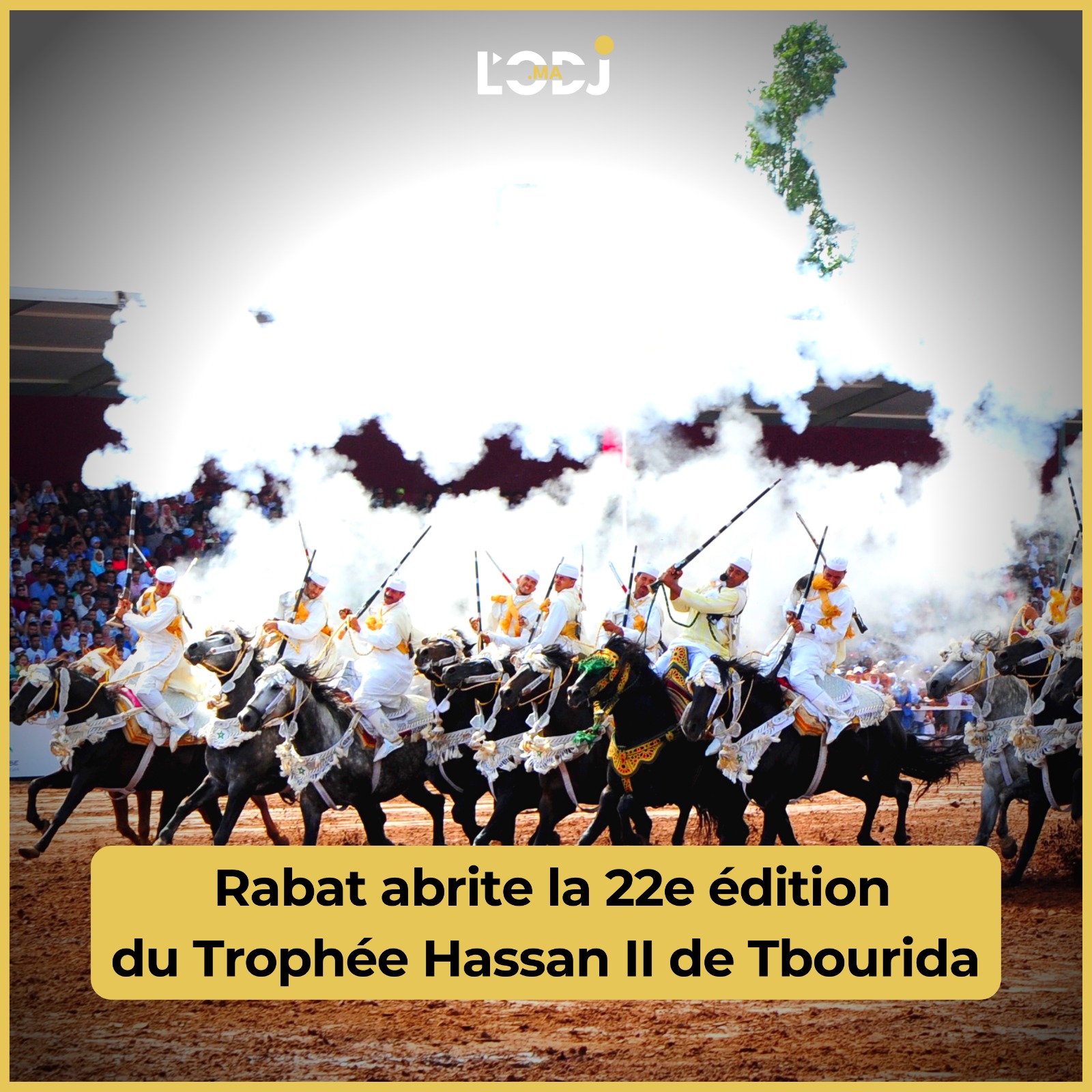 ​Tbourida : L'éclatante tradition équestre du Maroc