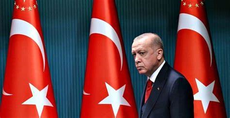 Le président Recep Tayyip ​Erdogan , Sultan indétrônable