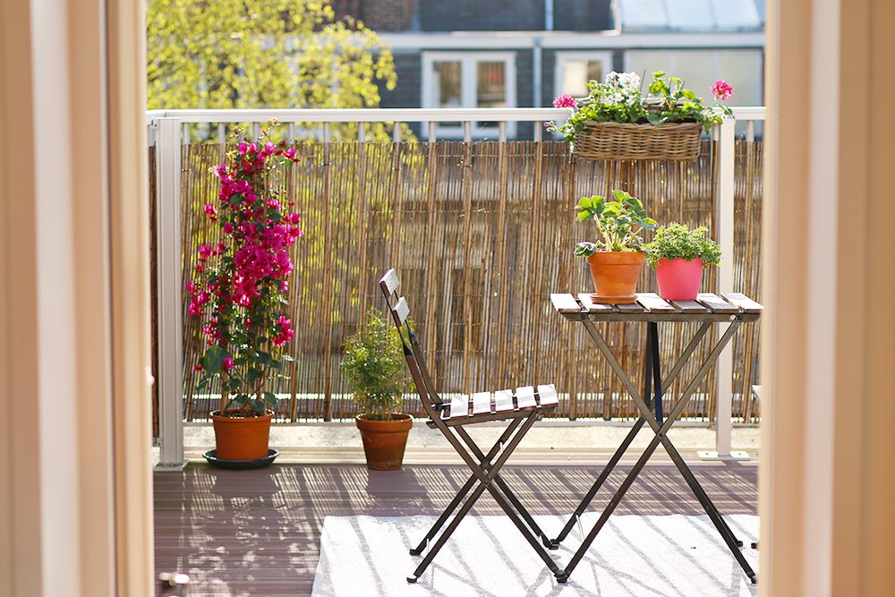 Bien choisir ses plantes pour un balcon verdoyant : Les erreurs à éviter
