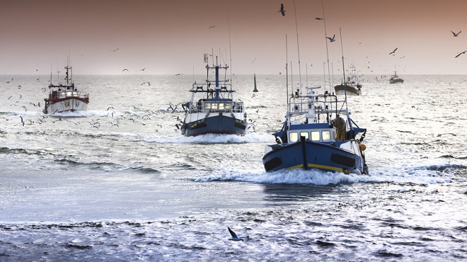 Pêche côtière & artisanale : hausse des débarquements en valeur