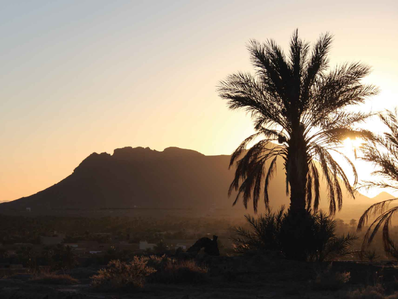 Figuig : Le 16ème festival des cultures des oasis, du 1er au 3 décembre 