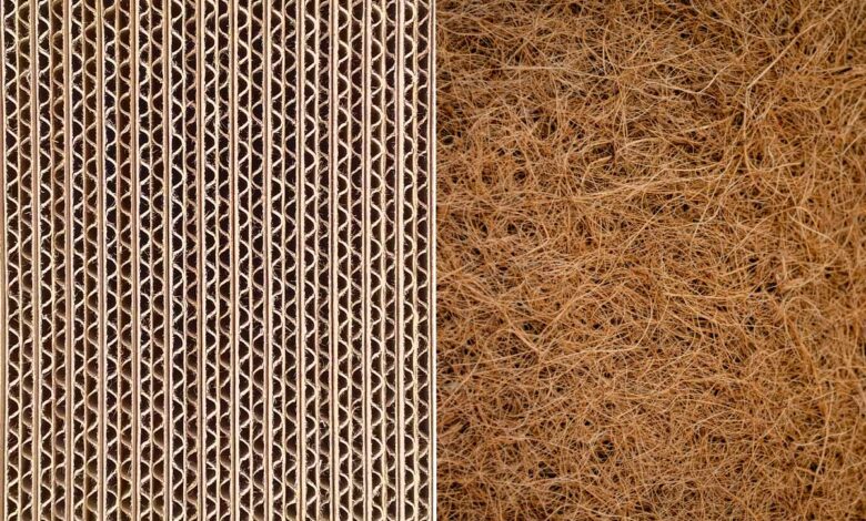 Développement de panneaux d'isolation thermique bio-composite à base de carton et de fibres de palmier dattier. Crédit : Shutterstock