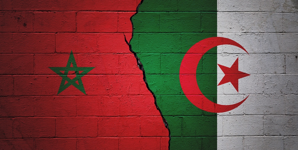 Maroc-Algérie : vol au-dessus d’un nid de frelons
