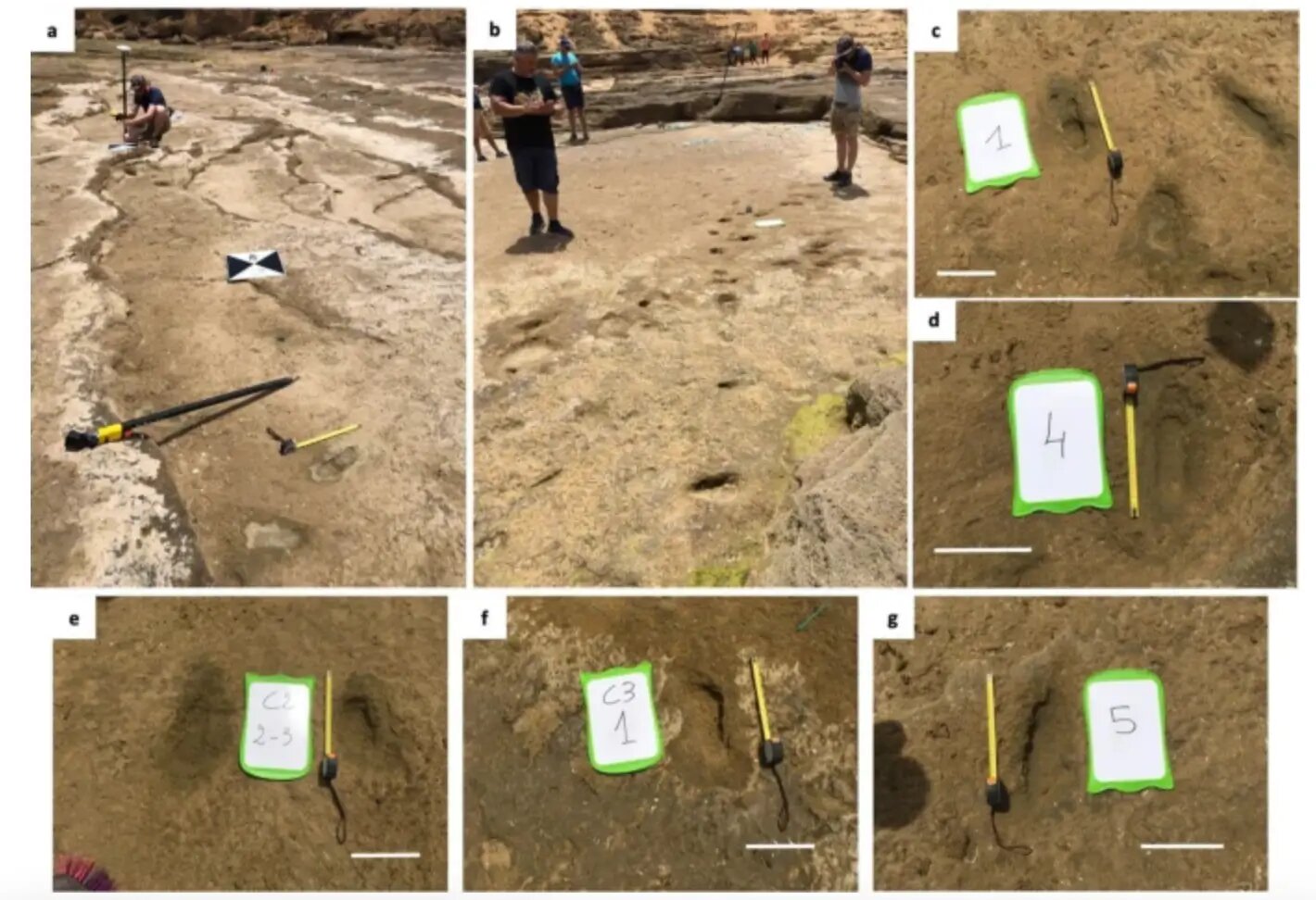 Traces du passé: Les plus anciennes empreintes humaines d'Afrique du Nord révèlent l'histoire à Larache