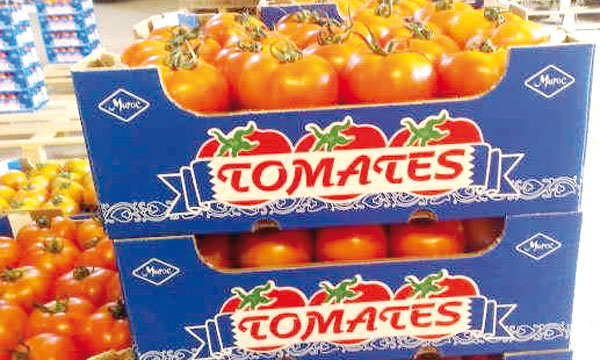 Qui veut la peau de la tomate made in Morocco !?