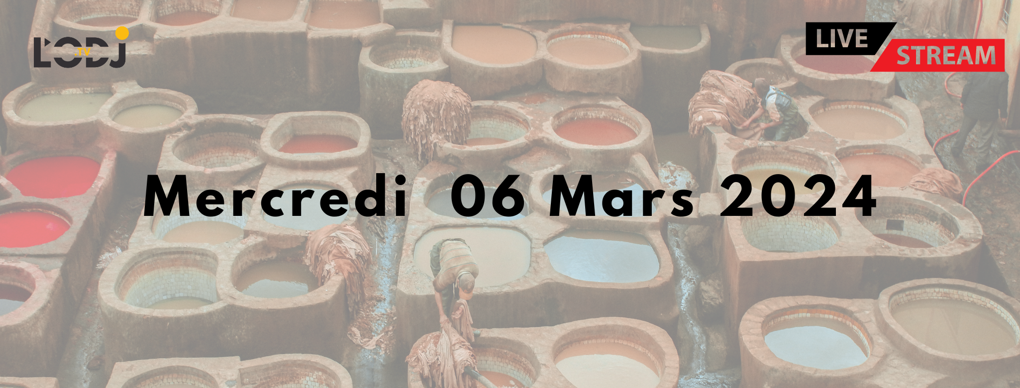 Grille de la semaine Web TV "Eco & Eco" de L'ODJ Média