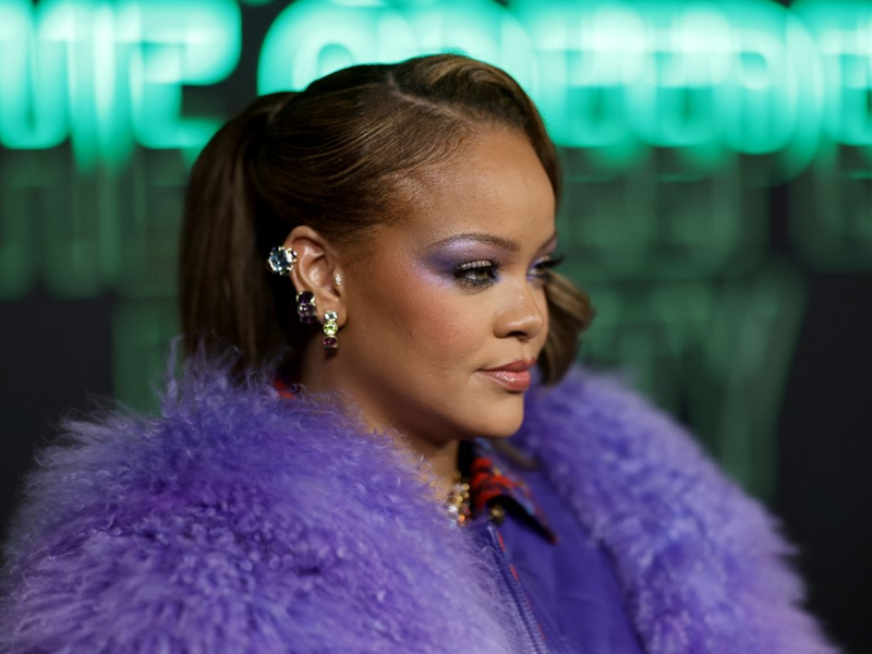 Rihanna donne un concert privé en Inde
