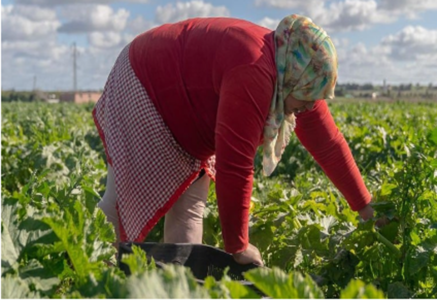 Les femmes rurales sont les plus affectées par le sexisme et les changements climatiques