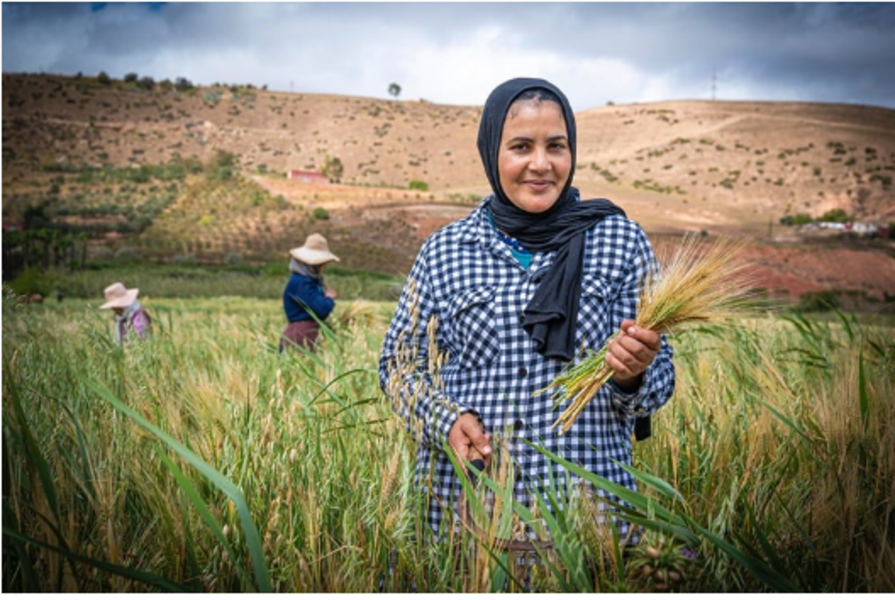 Le Maroc brille en tant que terre propice à l'épanouissement des femmes