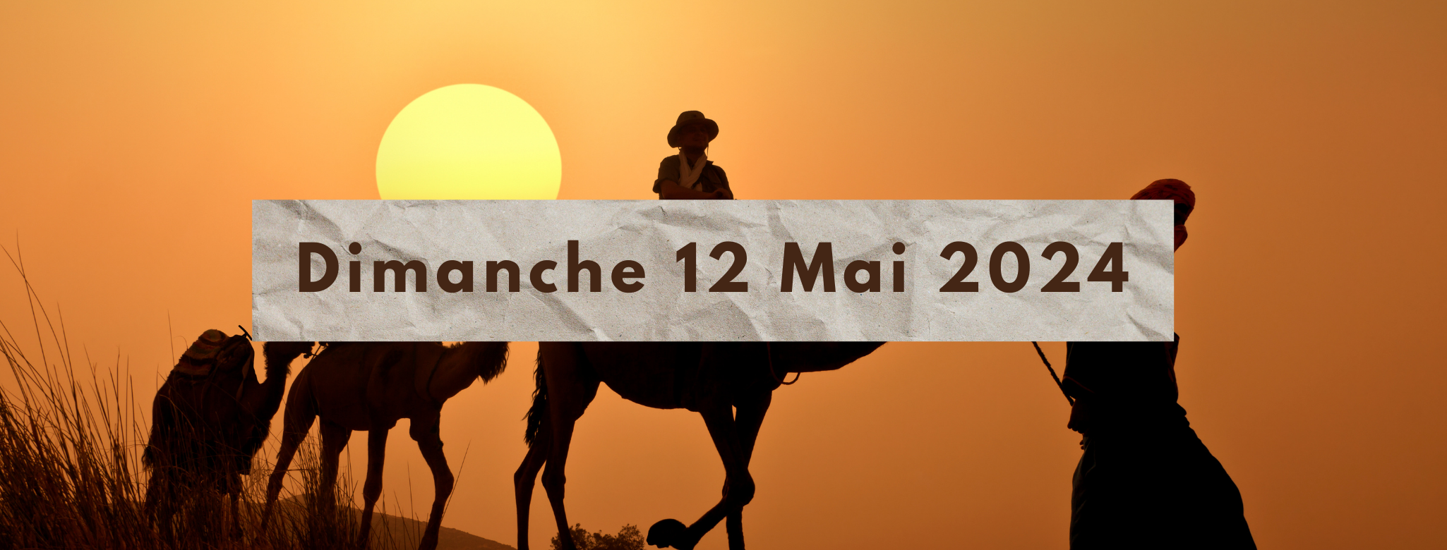 Grille de la semaine Web TV "Eco & Eco" de L'ODJ Média