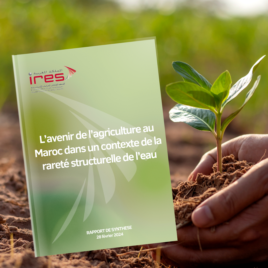 L'Avenir de l'Agriculture au Maroc : Un réfi crucial dans un contexte de rareté de l'eau