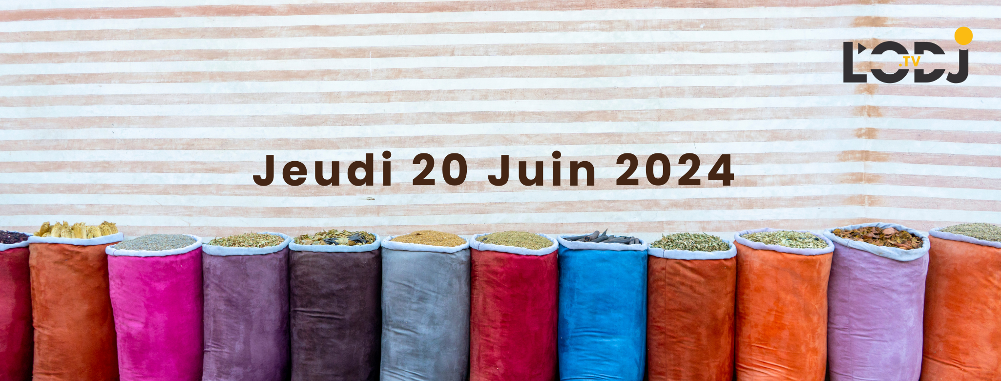 Grille de la semaine Web TV "Eco & Eco" de L'ODJ Média