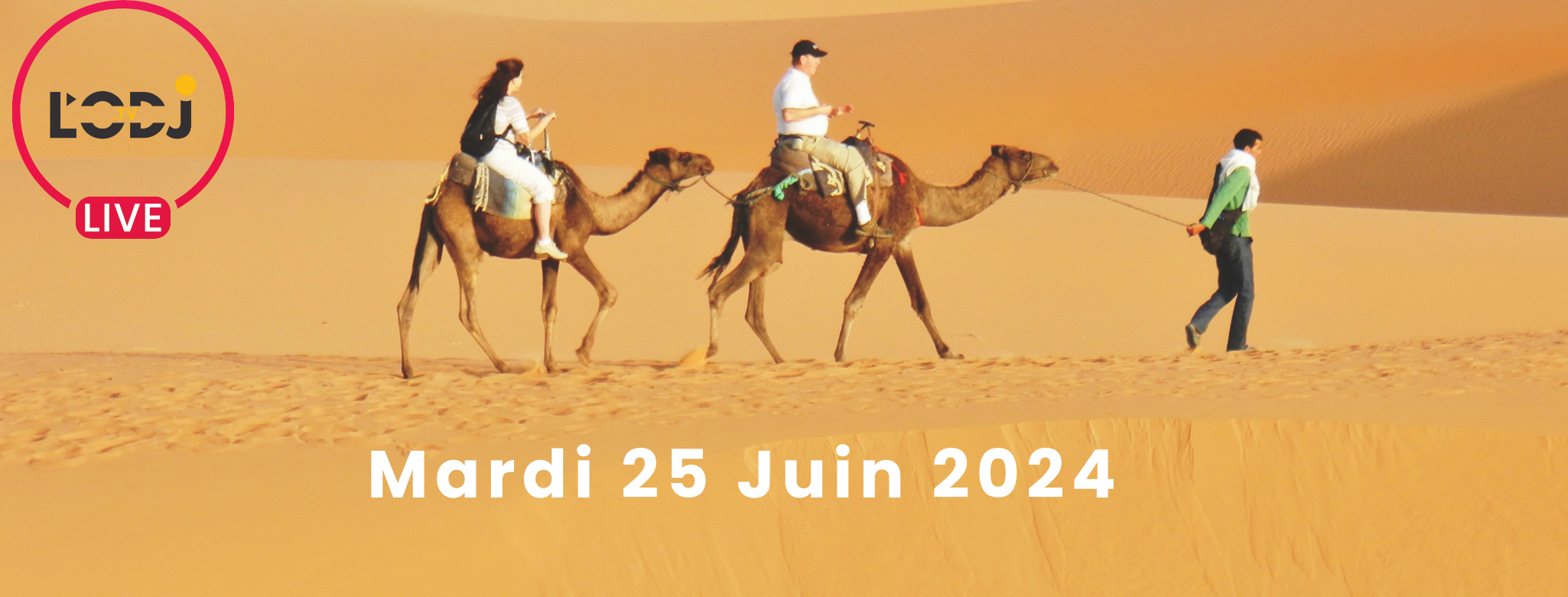 Grille de la semaine Web TV "Eco & Eco" de L'ODJ Média