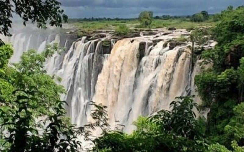 Échanges Dette-Nature cela existe 