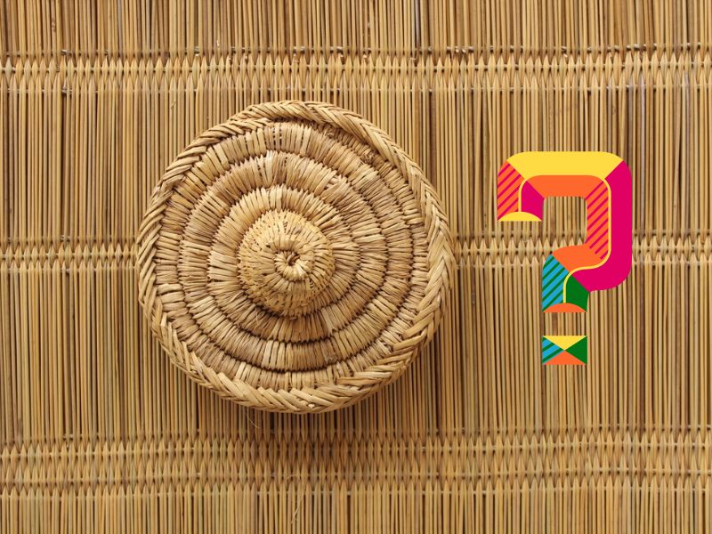 Conseil National de l’Artisanat : Pourquoi Faire ?