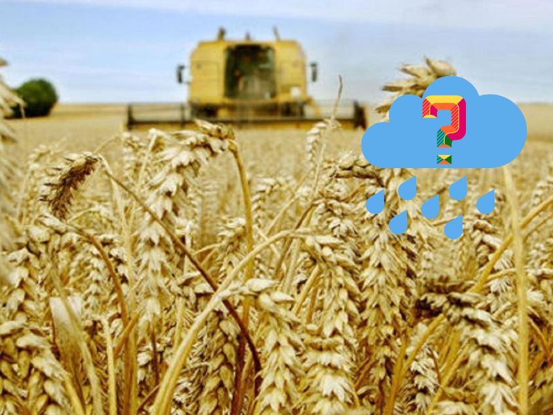 Un état des lieux alarmant la saison agricole 2024-2025