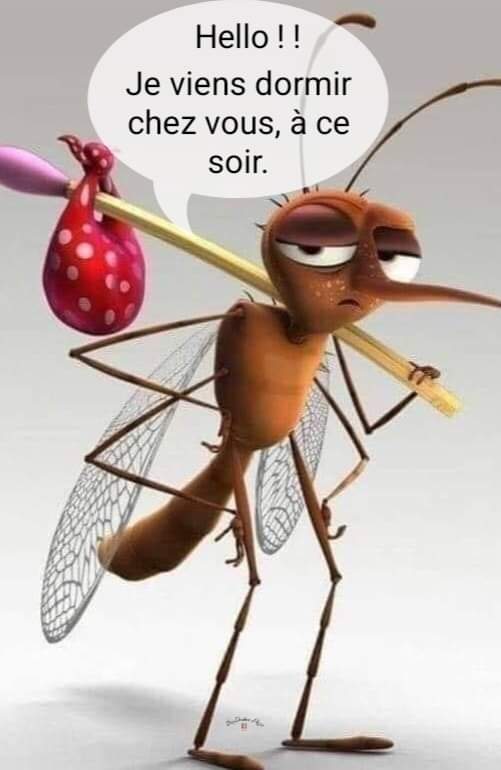 Les Moustiques antropophobes et homophobes de la Costa