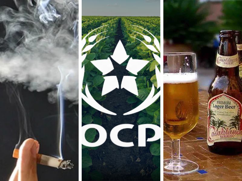 Quand les recettes fiscales liées aux fumeurs et buveurs dépassent l’apport de l’OCP