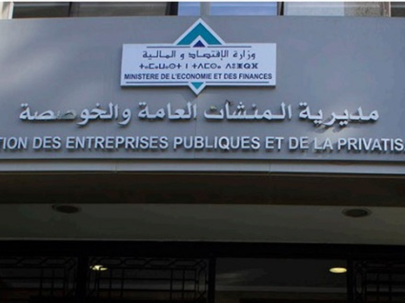 Le Défi de la Rentabilité des EEP sous le PLF 2025