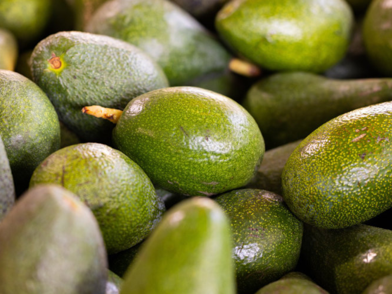 Exportation d’avocats : le Maroc face au défi de la crise hydrique