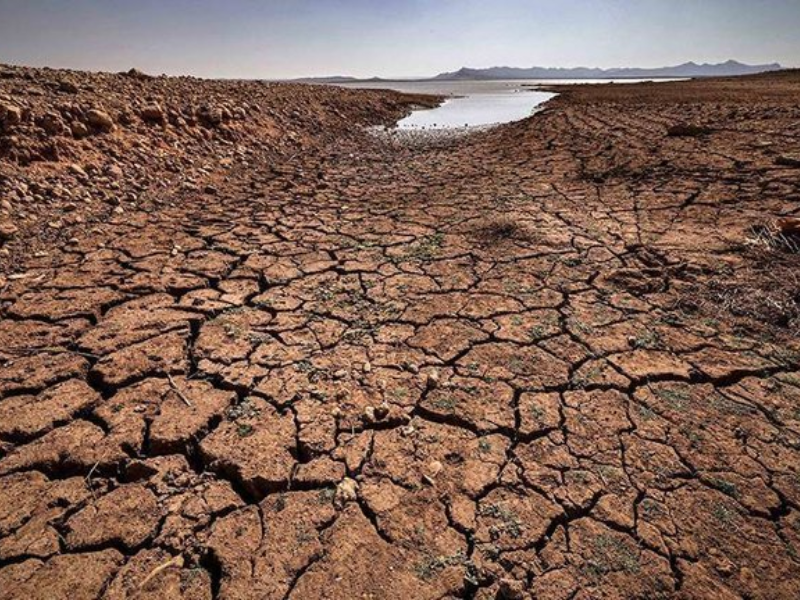 Services climatiques : météo, mon amour