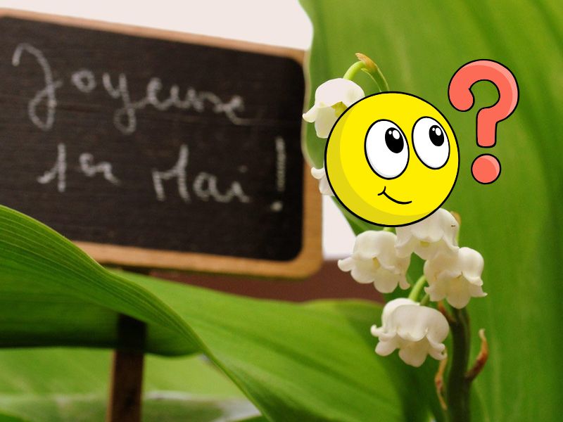 Premier Mai : Et si, contre toute attente, le gouvernement avait (un peu) raison ?