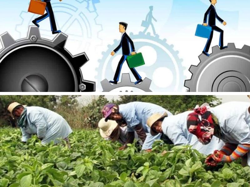 Marché du travail au 1er trimestre 2025 : entre embellie urbaine et précarité rurale