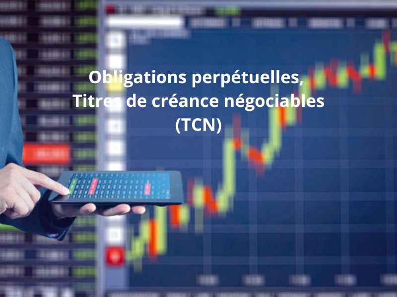 Obligations perpétuelles, TCN, placements privés : les nouvelles armes financières des grandes entreprises